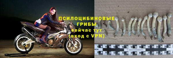 а пвп мука Осинники
