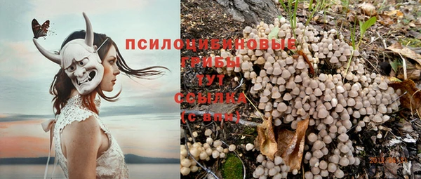 а пвп мука Осинники